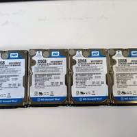 Hard Disk WD 320GB