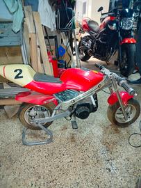 Mini moto 50cc 