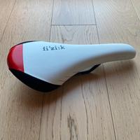 Fizik gobi