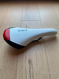 Fizik gobi