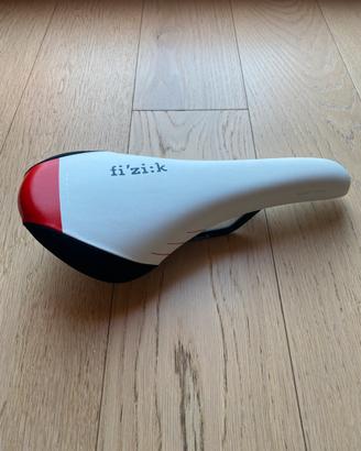 Fizik gobi