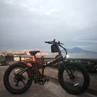 Bad Bike 250