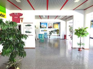 NEGOZIO A MASI TORELLO