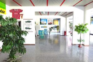 NEGOZIO A MASI TORELLO