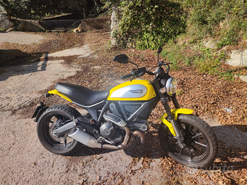 Ducati scrambler 800 2016 icon gialla