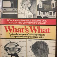 Dizionario Visuale Inglese Raro