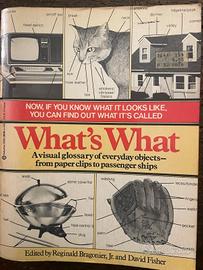 Dizionario Visuale Inglese Raro