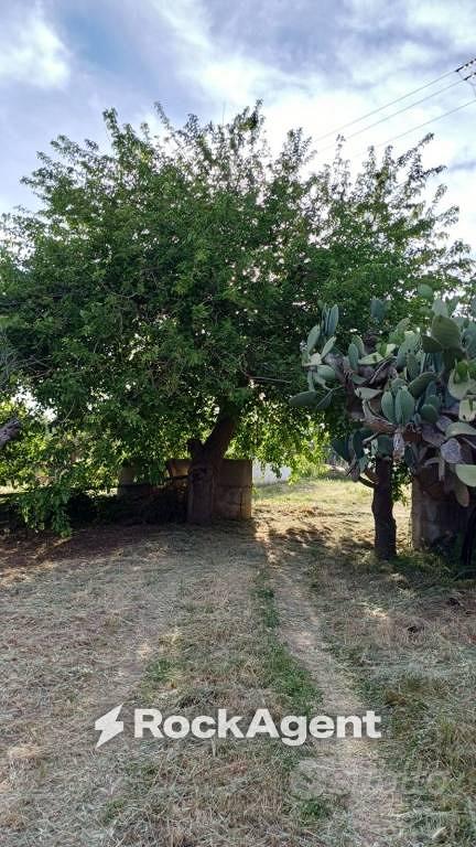 Rustico / Casale di 111 m² con 5 locali a Sciacca - Vista 4