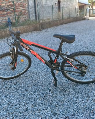 bicicletta mtb
