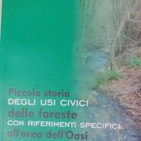 Piccola storia degli usi civili delle foreste