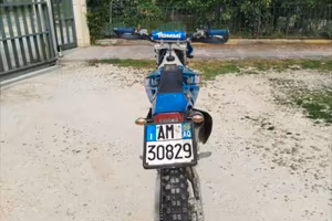 TM 250 en