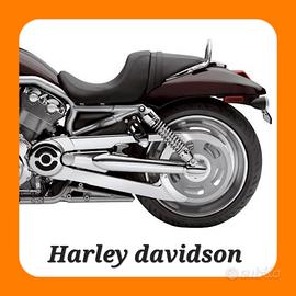 PROTEZIONE CINGHIA HARLEY DAVIDSON V-ROD