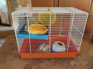 Gabbie per criceti nuove