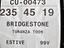 Immagine 5