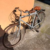 Bicicletta da passeggio