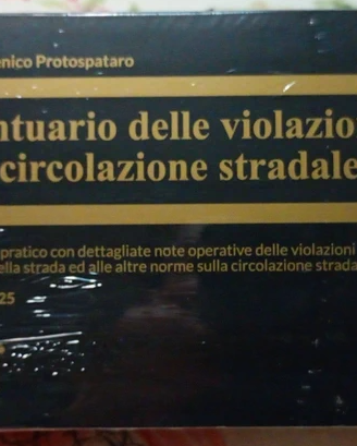 Prontuario delle violazioni alla circolazione