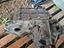 Immagine 2