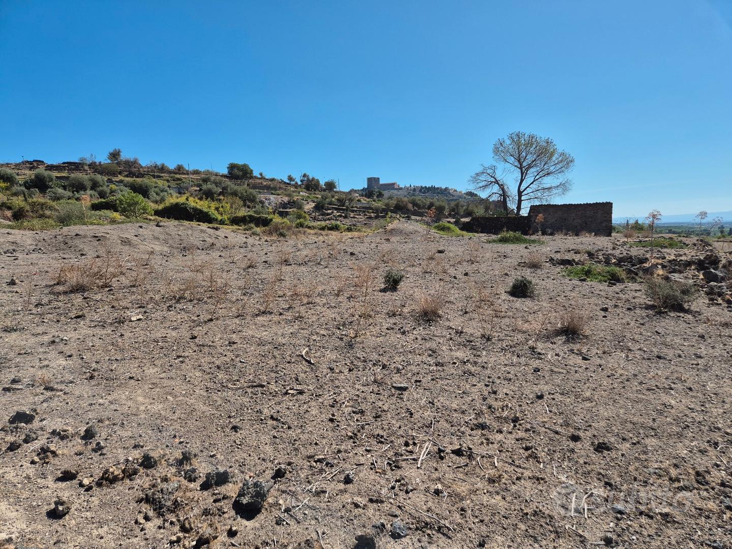 Terreno agricolo - Altro