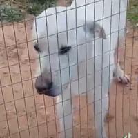 Paul si descrive da solo