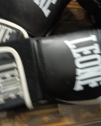 Ready to boxe