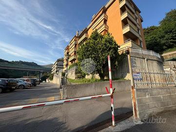BOX A GENOVA