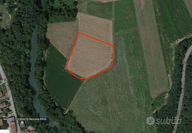 Seminativo a Cormons