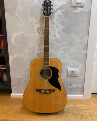 Chitarra acustica