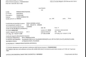 Licenza pesca GSA 18 – 3 GT –Potenza 52,95 KW