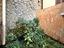 Immagine 14