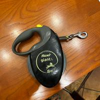 Guinzaglio allungabile flexi