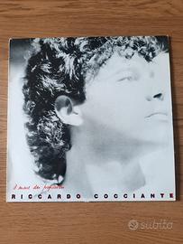 Riccardo Cocciante - il mare dei papaveri 