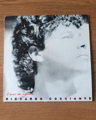Riccardo Cocciante - il mare dei papaveri 