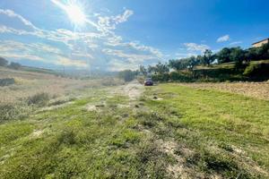 TER. AGRICOLO A MOSCUFO