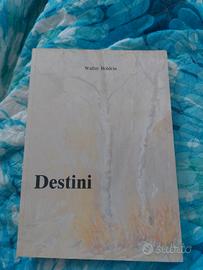 Destini Walter Boldrin