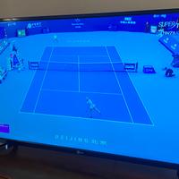 TV TELE SYSTEM PALCO 39 LED10