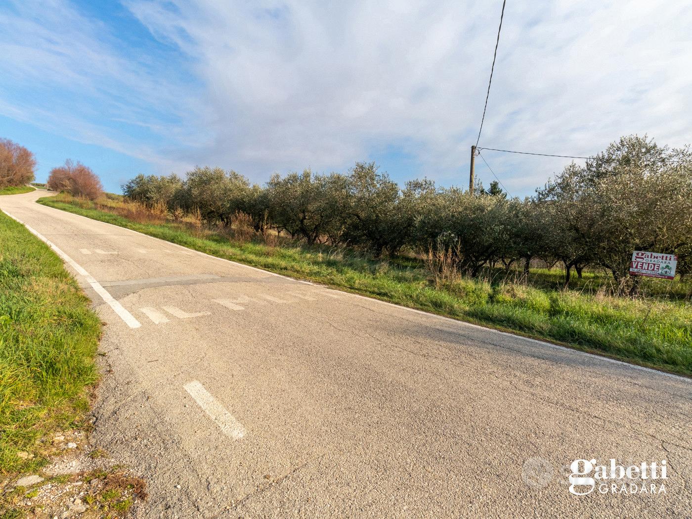 Terreno Agricolo San Giovanni in Marignano - Vista 5