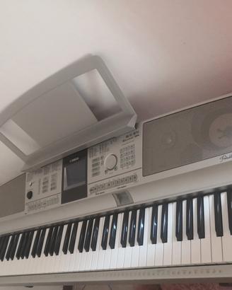 Tasteria Yamaha Portable Grande DGX-305