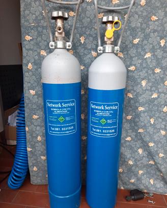 Bombole CO2 aquario ( 2 pezzi)
