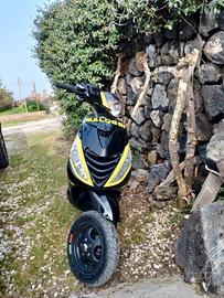 zip sp Piaggio 