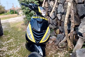 zip sp Piaggio 