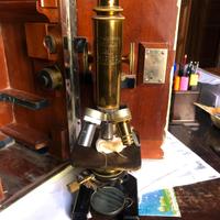 Microscopio Carl Zeiss Jena anni 40