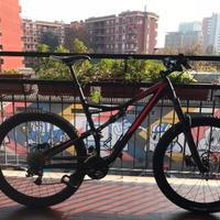 Specialized stumpjumper fsr