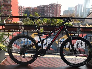 Specialized stumpjumper fsr