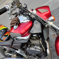 Beta Euro 350
