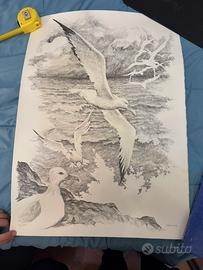 Disegno originale Fremura – Gabbiani su carta
