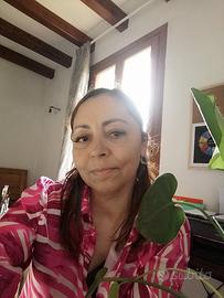 Sorveglianza non armata, controllo accessi