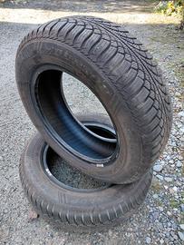 Pneumatici invernali 175/65 R14