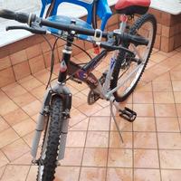 bike2