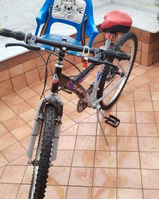 bike2