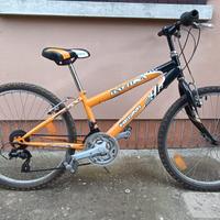 Mountain bike Daytona regina 24 pollici ragazzo